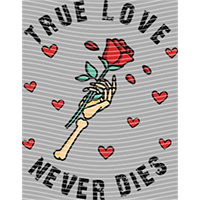 Valentine's Day-QRJ  1747